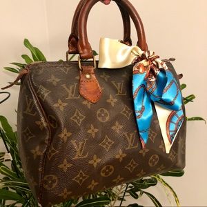 Louis Vuitton Speedy 25